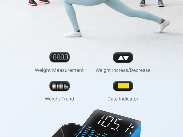 scale
