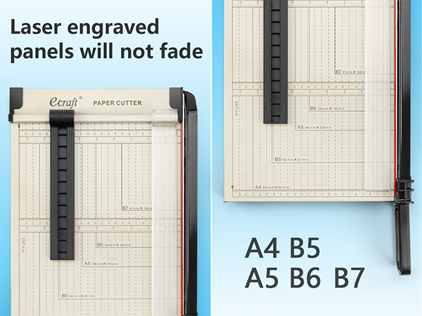 Laser printed scales will not fade