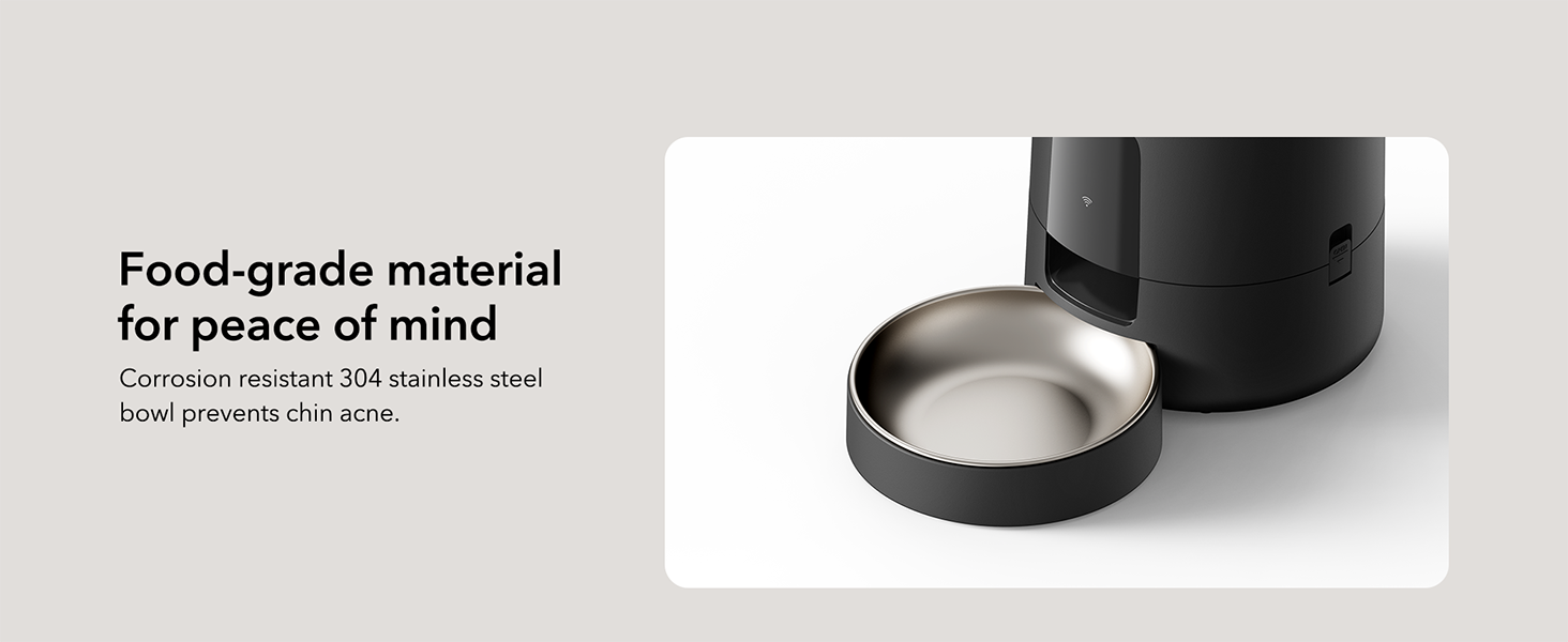 auto feeder for cats