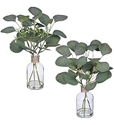 Zheart 2 Pack Small Fake Plants Eucalyptus Potted,Artificial Eucalyptus Stems in Glass Vase with ...