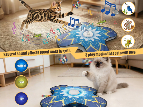 Cat Play Mat for Bored Adult Kittens