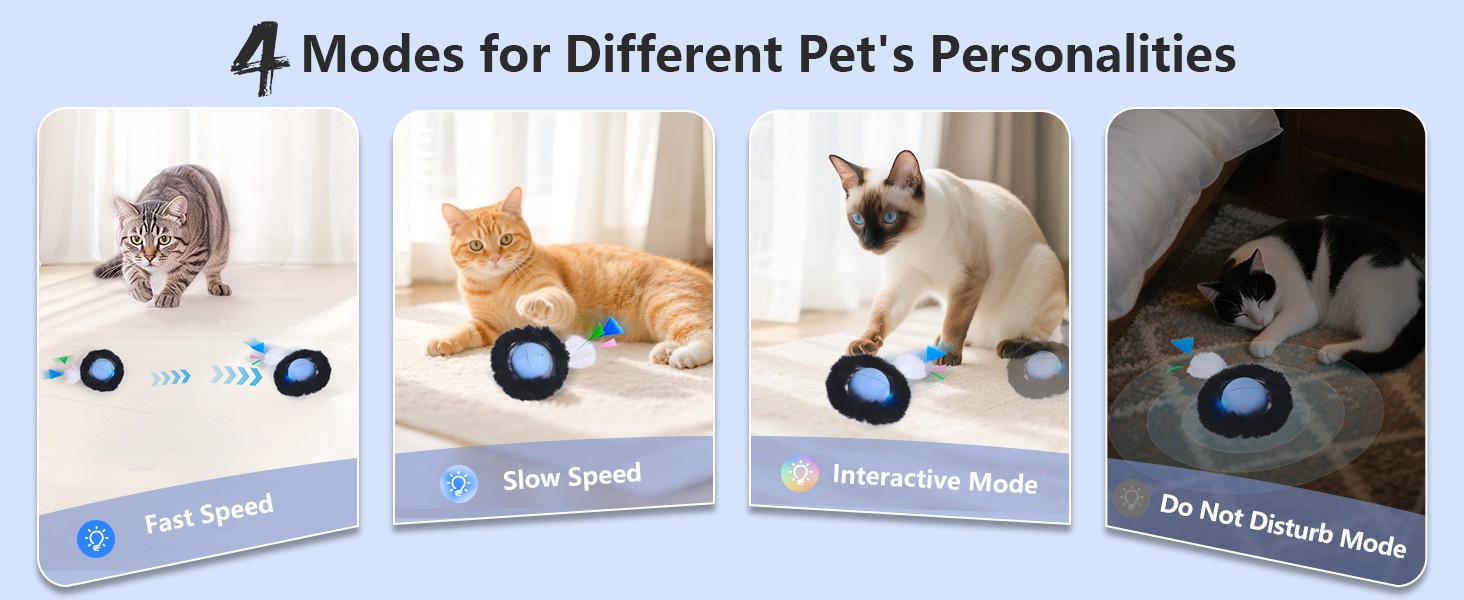 cat toys for indoor cats