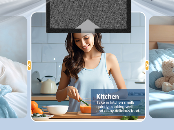 tz k2 replacement filter
