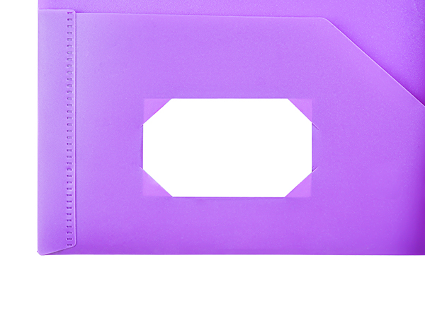 FUCDTEFC 2 Pocket Folder with Prong
