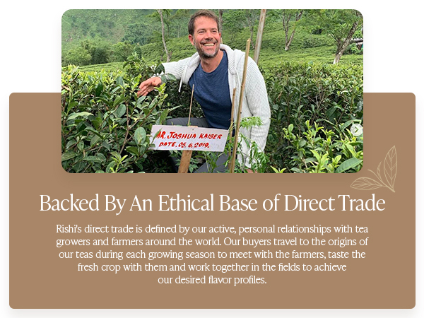 simple brew glass teapot brewing device preparation for tea boiling water easy to clean vessel