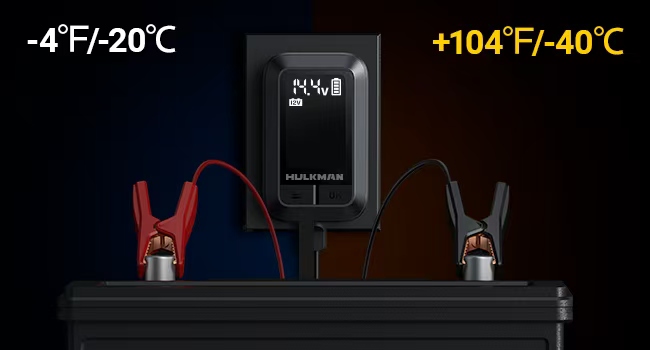 Smart Trickle Charger