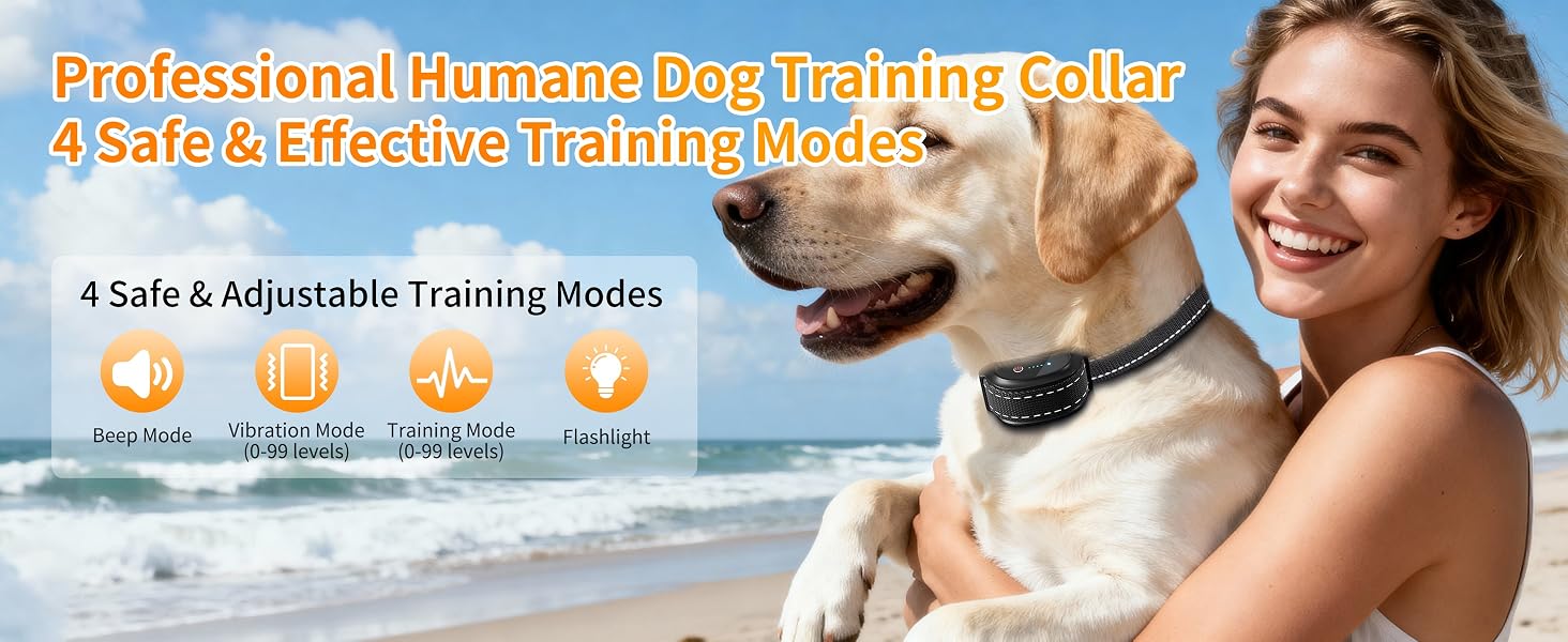 dog training collar 6