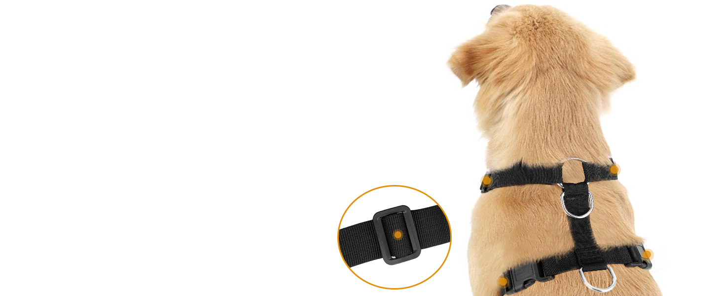 adjustable vest