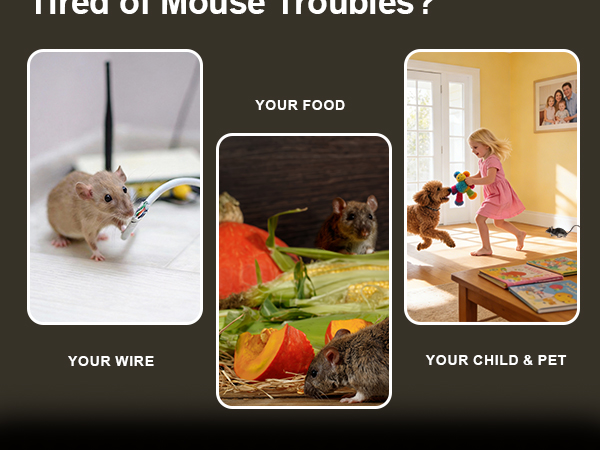 Tired of Mouse Troubles?