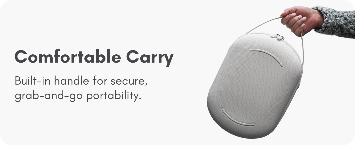 Vision Pro Case