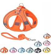 Harness Small Sized Dog, No-Pull Puppy Vest with Leash Set, Breathable Mesh Reflective Pet Harnes...