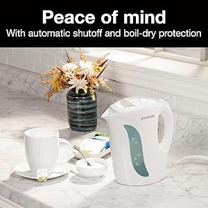 tea kettle and water boiler