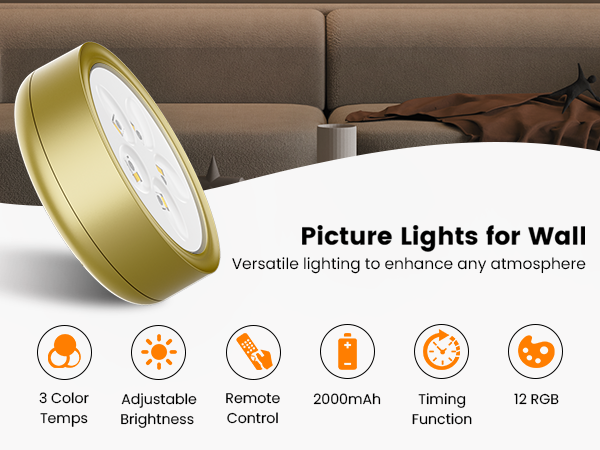 Picture Lights for Wall