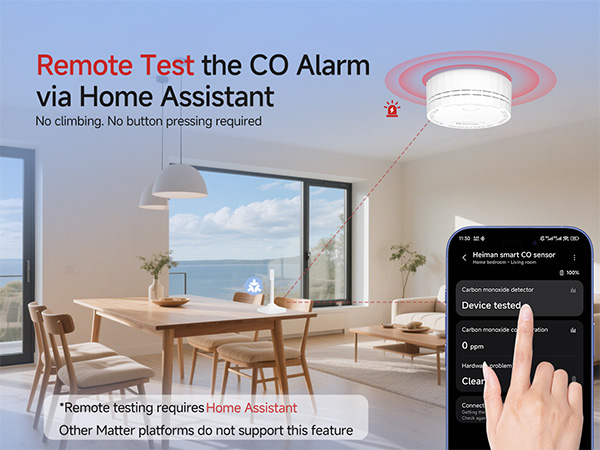 carbon monoxide detector smart matter