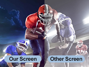 100 Inch Projector Screen Outdoor with Stand