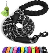 Taglory Rope Dog Leash 6 FT with Comfortable Padded Handle, Highly Reflective Threads Leash for M...