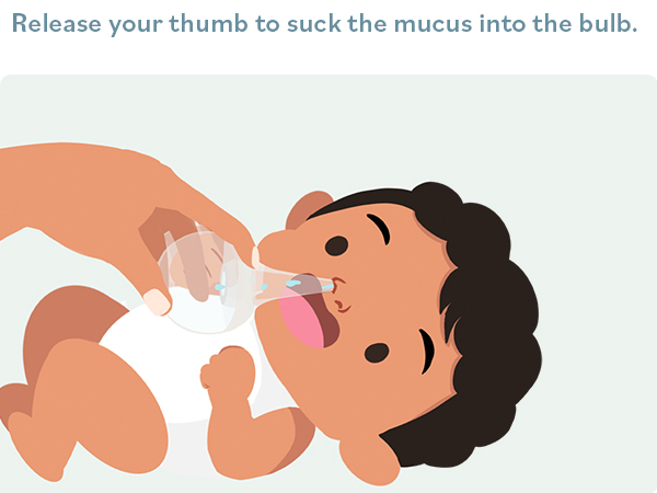 Bulb Step 3