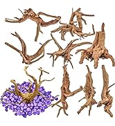 Vmiapxo 8 Pieces Natural Driftwood for Aquarium Decor, Assorted Sinkable Spider Wood, Reptile Dri...