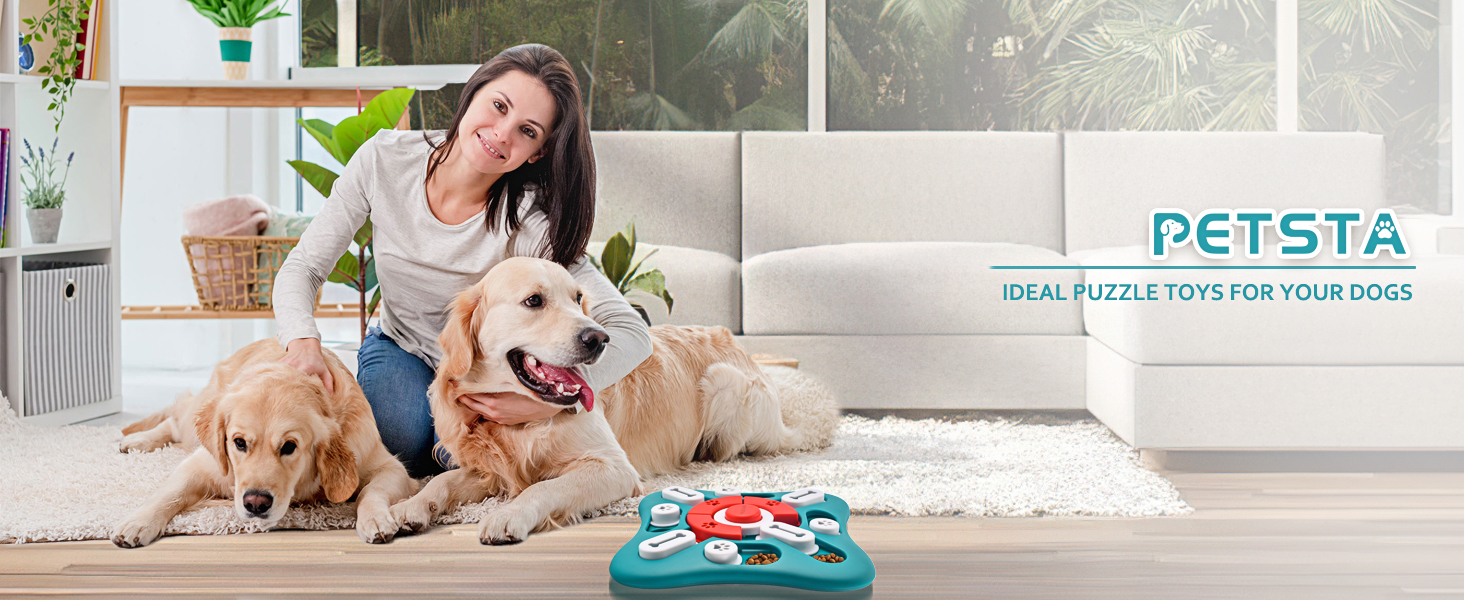 dog puzzle toys