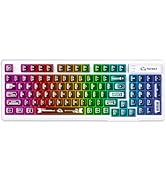 ZIYOU LANG M95 Transparent Membrane Keyboard,Wired Gaming Keyboard with Clear Keycap,Rainbow RGB ...