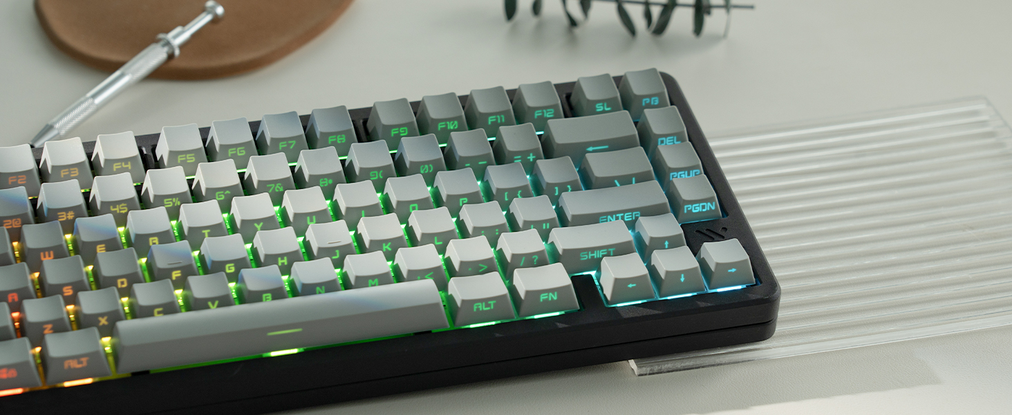 womier retro pbt keycaps light grey side printed shine through keycaps double shot OEM profile