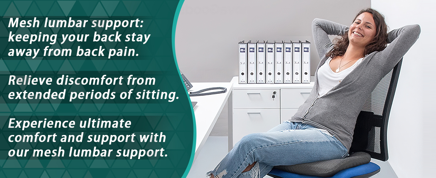 mesh lumbar support