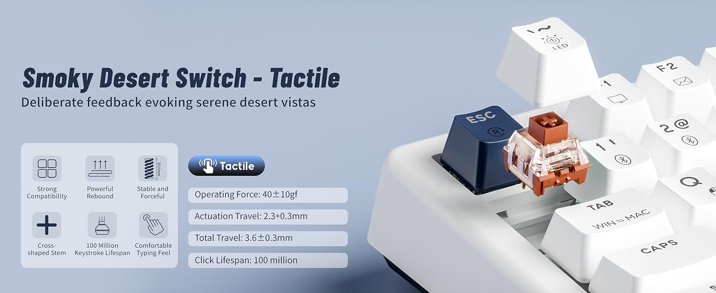 Smoky Desert Switch - Tactile