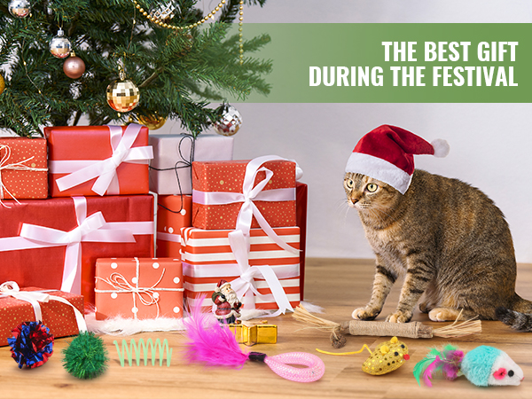 gift for cat festival