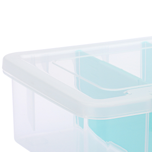 Clear Plastic Storage Box