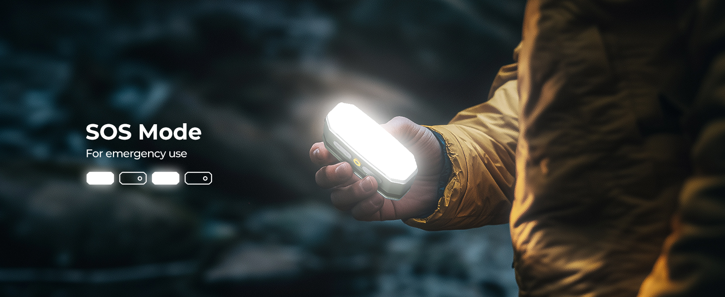 AL01 AREA LIGHT
