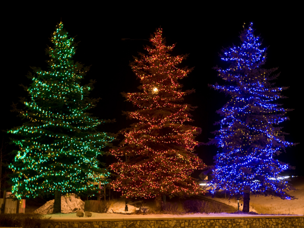 Twinkle Lights