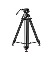 raubay video tripod dv-1