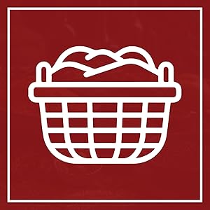 laundry icon