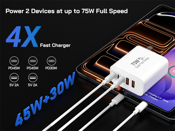 4X. Fast Charger