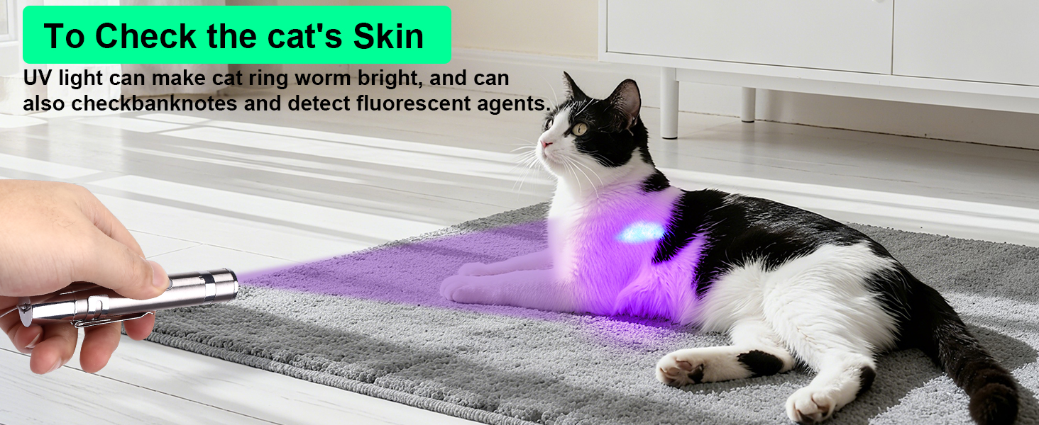 cat toy