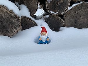 Gnome in the snow, just about wast deep