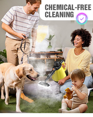 steam cleaner
