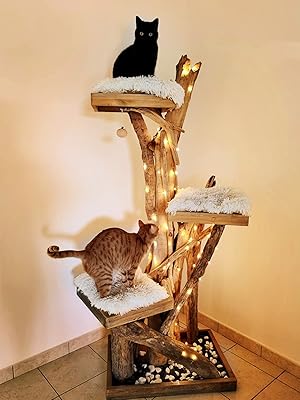 low voltage string lights