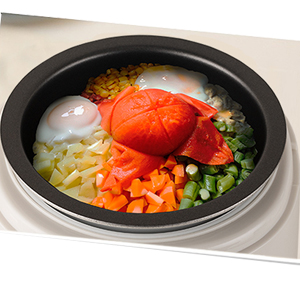 mini rice cooker