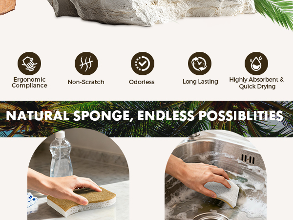 plant based sponges