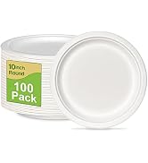 Paper Plates 10 Inch 