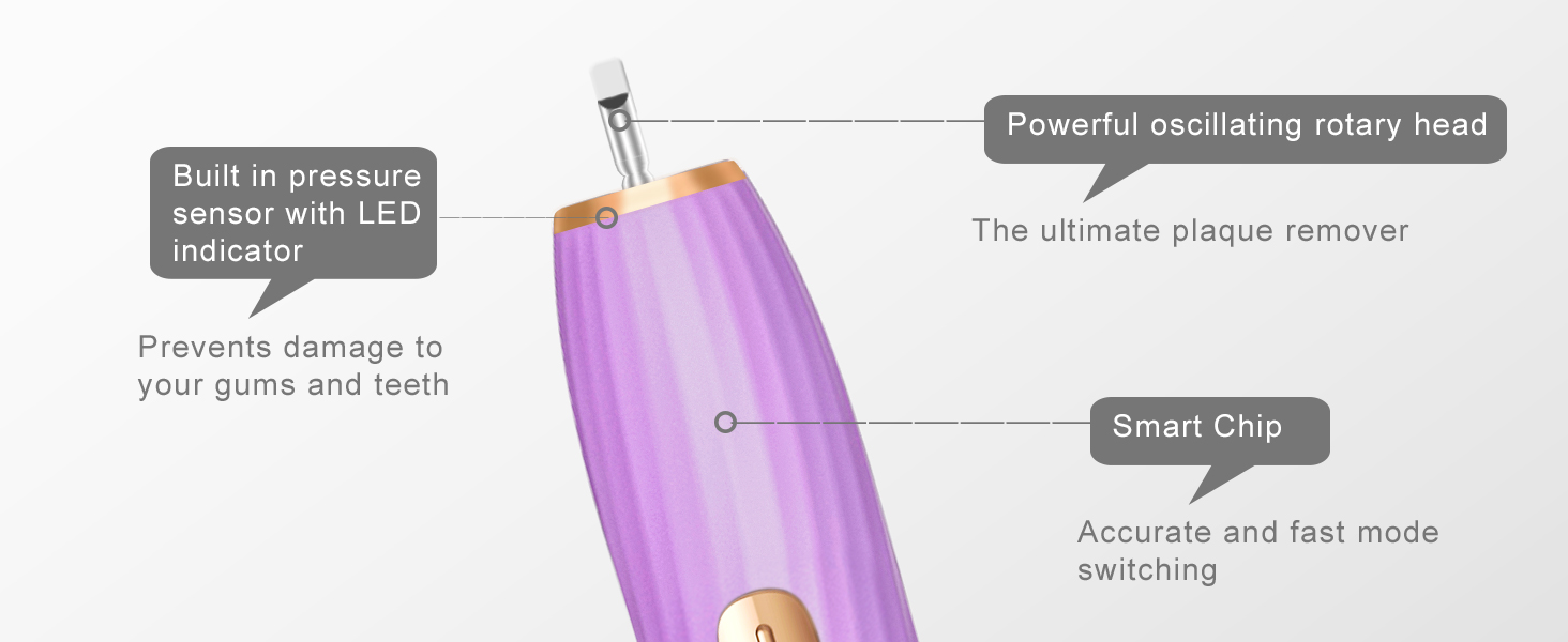 Rechargeable Toothbrush