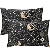 EXQ Home Satin Pillowcase for Hair and Skin Queen - Black Printed Silk Pillowcase 2 Pack 20x30 in...