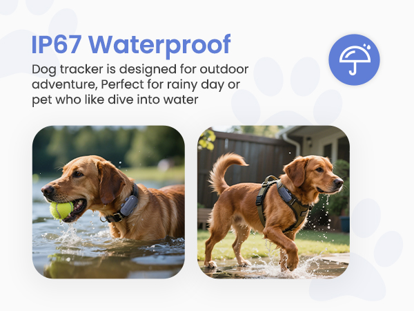dog gps tracker