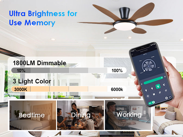 led ceiling fan