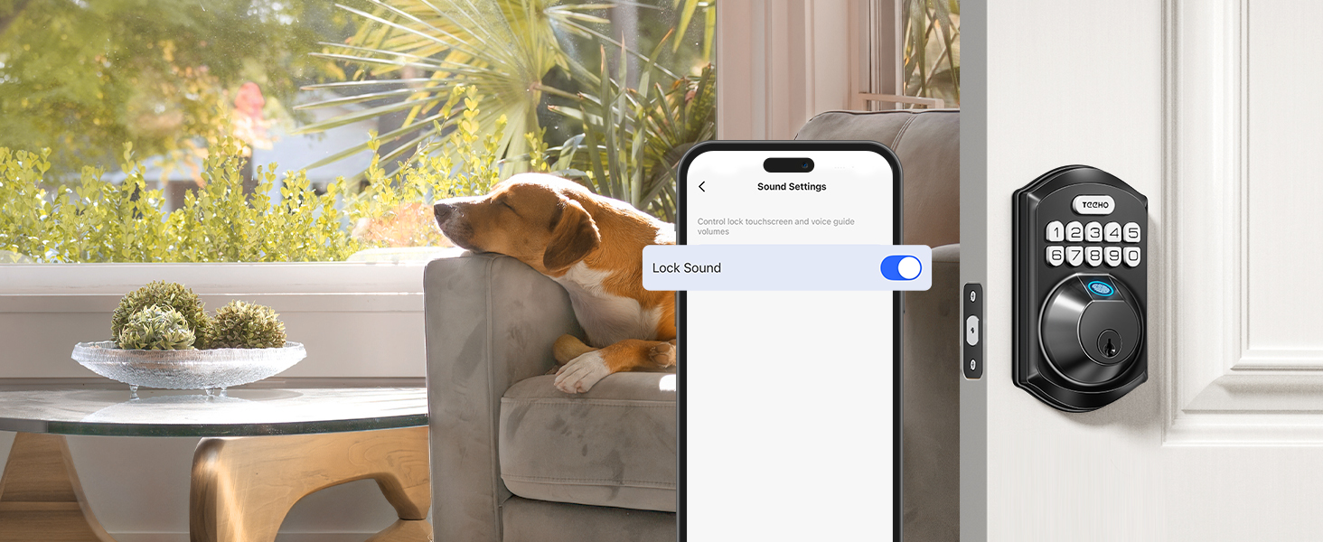 wifi locks for front door