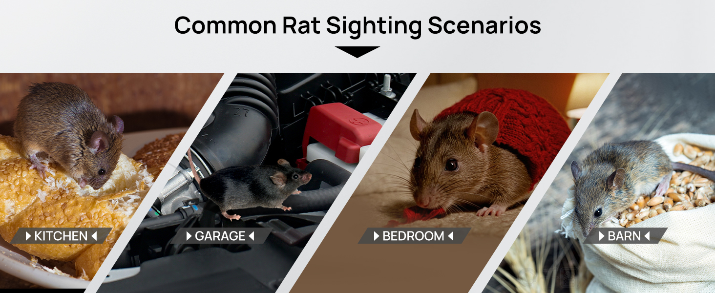 ELECTRIC RAT TRAP-011