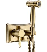 DIKUROOMS Wall Mounted Toilet Bidet Faucet Concealed Handheld Spray Set 2 Function Brass Hot and ...