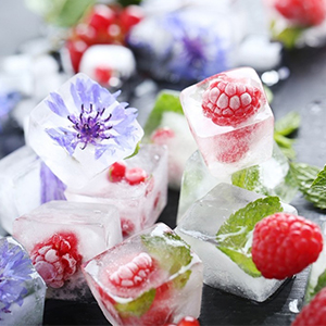 ice cube tray