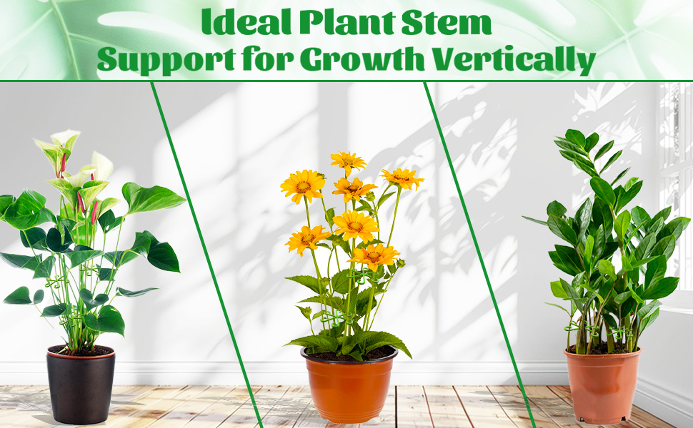 plant stem holders